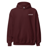 FYIWDWYTM v2a basic hoodie