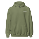FYIWDWYTM v2a basic hoodie