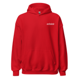 FYIWDWYTM v2a basic hoodie