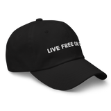 Live Free or Die dad hat