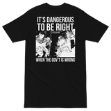 Dangerous to be Right v2 premium t-shirt