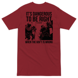 Dangerous to be Right v2 premium t-shirt