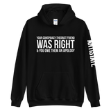 Conspiracy Theorist Friend v1 hoodie