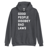 Disobey Bad Laws v1 hoodie