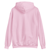 ̶s̶t̶a̶t̶e̶ v1 ebroidered hoodie