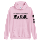Conspiracy Theorist Friend v1 hoodie