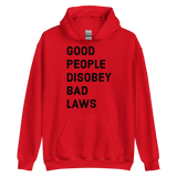 Disobey Bad Laws v1 hoodie