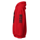 End the Fed v1 hoodie