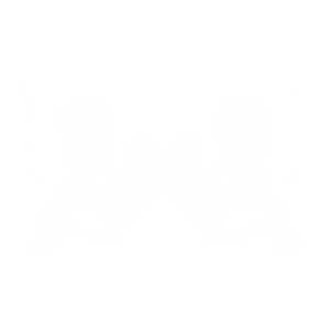 Cherubs
