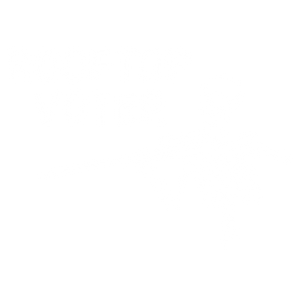 Rooftop Voter OG