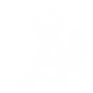 Cherub AR