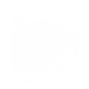 Make America Defiant Again 22