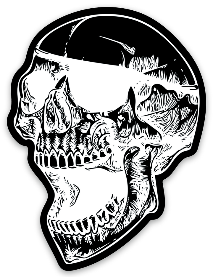 ANTISTATE Skull Decals