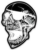 ANTISTATE Skull Decals