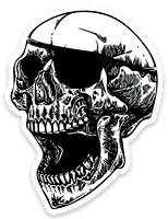 ANTISTATE Skull Decals