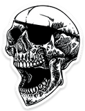 ANTISTATE Skull Decals