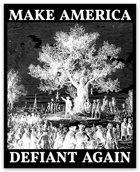Make America Defiant Again 24 Decals