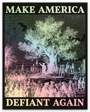 Make America Defiant Again 24 Decals