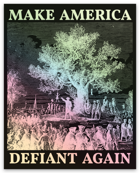 Make America Defiant Again 24 Decals