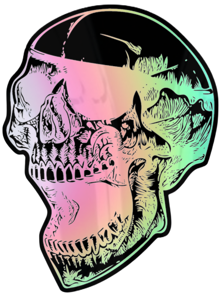 ANTISTATE Skull Decals