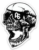 ANTISTATE Skull Decals