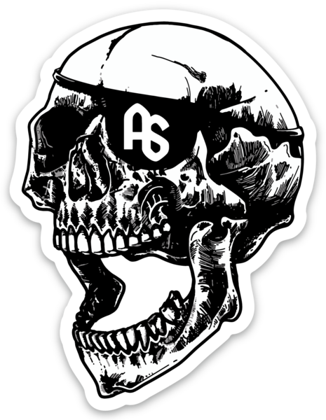 ANTISTATE Skull Decals