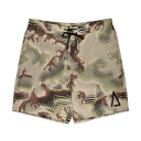 DCU board shorts
