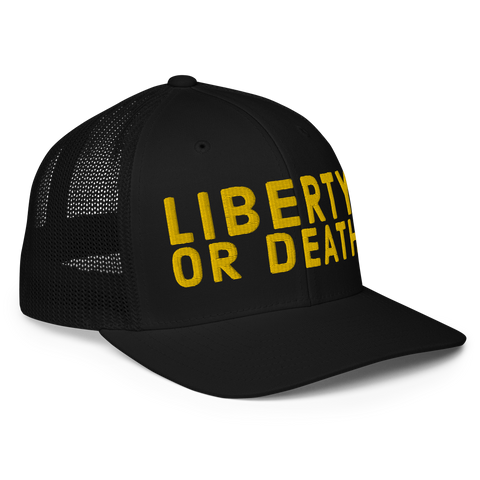 Liberty or Death flex-fit trucker