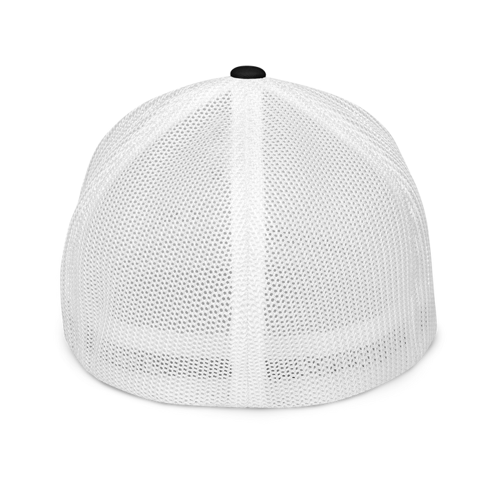 Taxed to Death flex-fit trucker