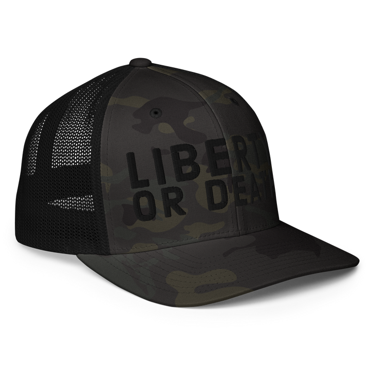 Liberty or Death flex-fit trucker