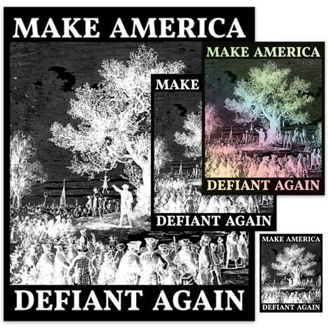 Make America Defiant Again 24 Decals
