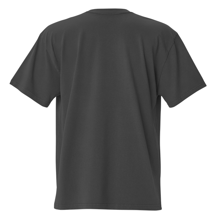 Ruby Ridge (night) embroidered oversized faded t-shirt