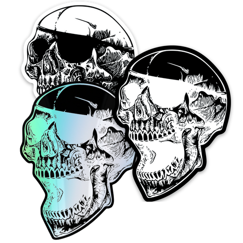 ANTISTATE Skull Decals