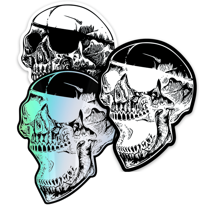 ANTISTATE Skull Decals