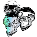 ANTISTATE Skull Decals