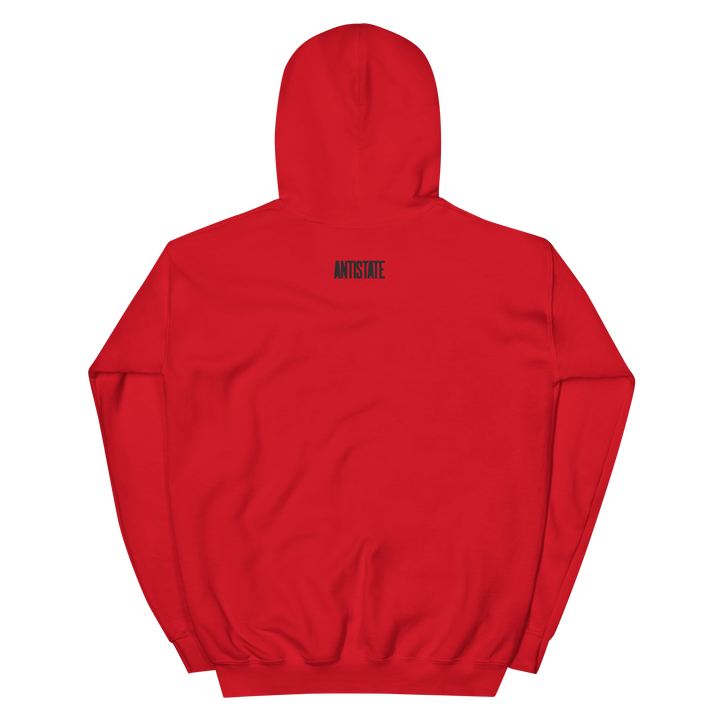 Rooftop Voter 24 classic Hoodie