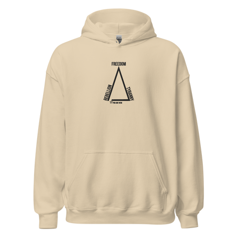 Δ Diagram embroidered classic hoodie