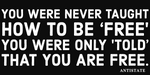 never taught how to be free bumper sticker 7.5"
