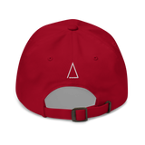 Taxed to Death dad hat