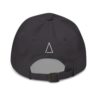Taxed to Death dad hat