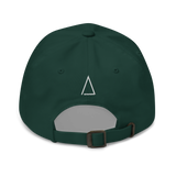 Taxed to Death dad hat