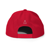 ANTISTATE OG snapback