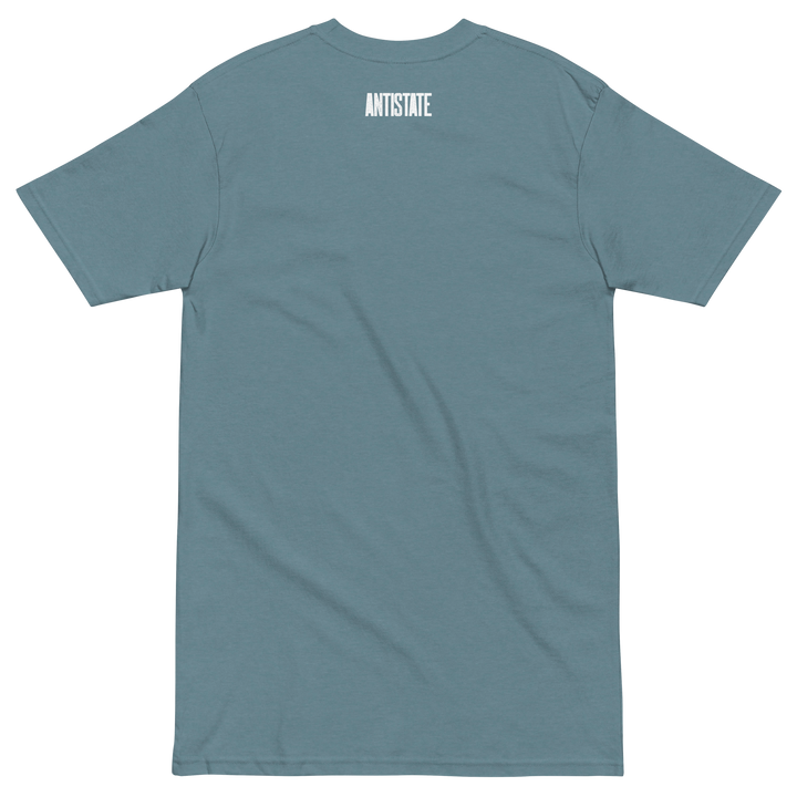 Corporations Control the Government premium t-shirt