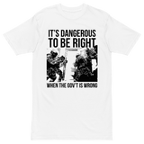 Dangerous to be Right v1 premium t-shirt