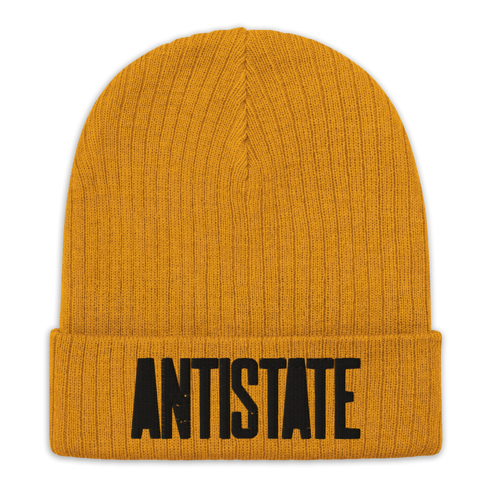 Stone cuffed beanie