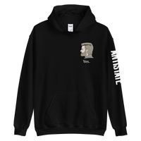 TED v2 hoodie