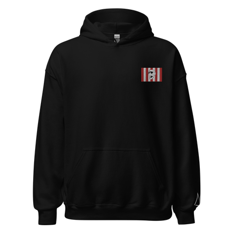 Sons of Liberty v1 hoodie