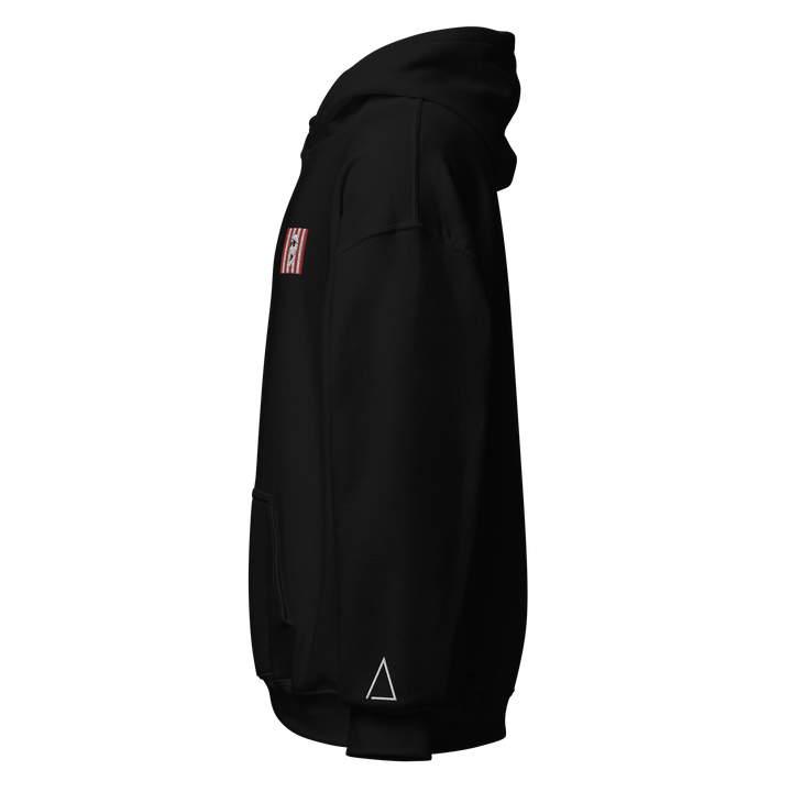 Sons of Liberty v1 hoodie