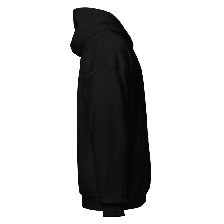 Sons of Liberty v1 hoodie