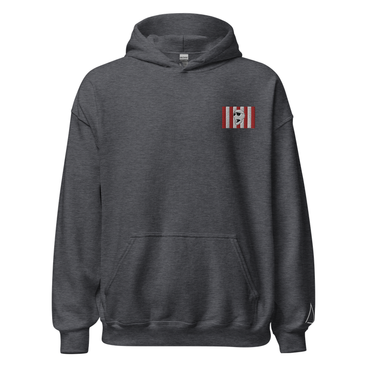 Sons of Liberty v1 hoodie